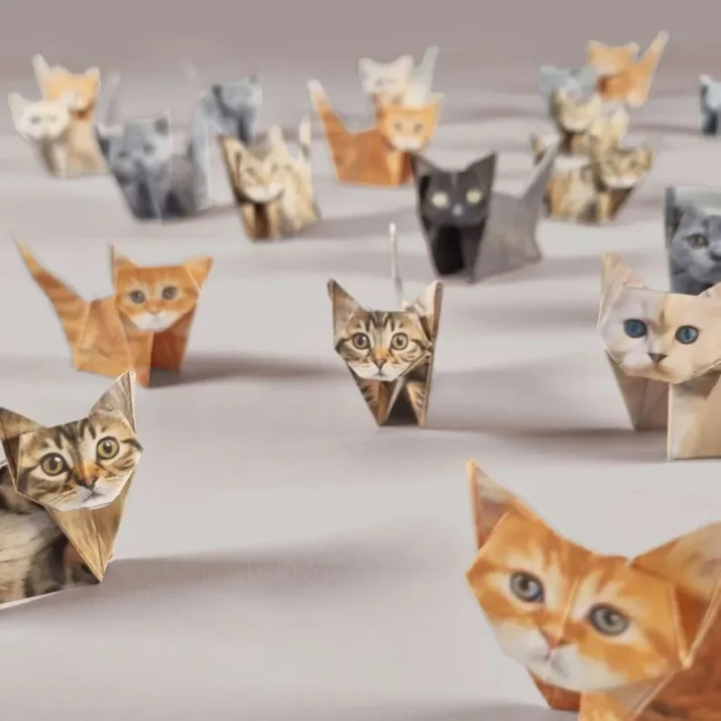 Creatieve DIY Papieren Katten  - Dinosaur And Craft recensie en prijs