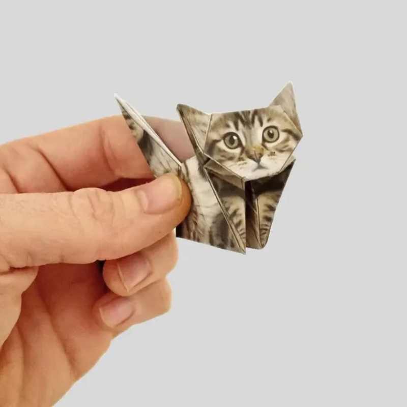 Creatieve DIY Papieren Katten  - Dinosaur And Craft recensie en prijs