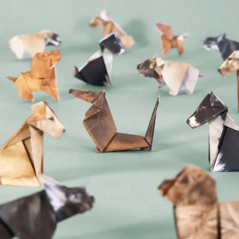 Creatieve DIY Papieren Katten  - Dinosaur And Craft recensie en prijs