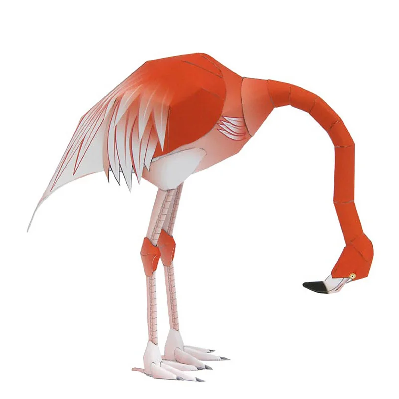 Caribbean Flamingo Vouwen Drie - Art And Craft Nature recensie en prijs