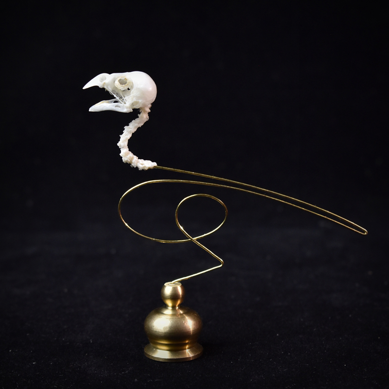 2111 Boutique Ethische Vogelsc - Art Craft Museum recensie en prijs