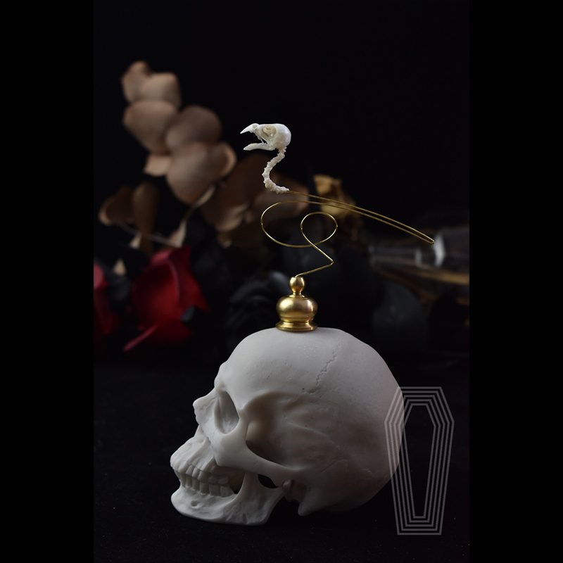 2111 Boutique Ethische Vogelsc - Art Craft Museum recensie en prijs