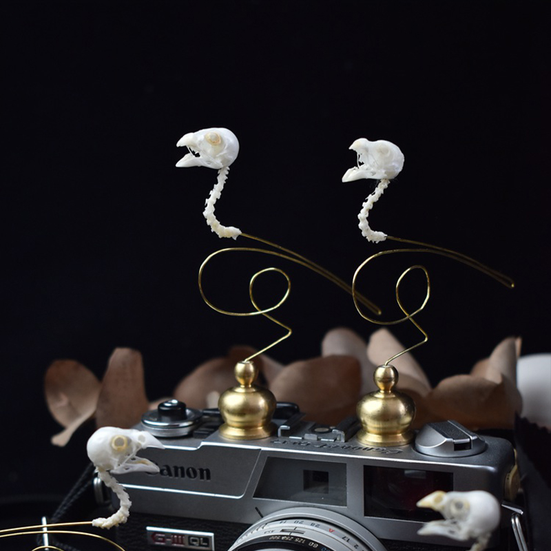 2111 Boutique Ethische Vogelsc - Art Craft Museum recensie en prijs