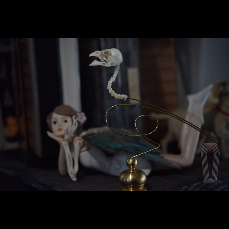 2111 Boutique Ethische Vogelsc - Art Craft Museum recensie en prijs