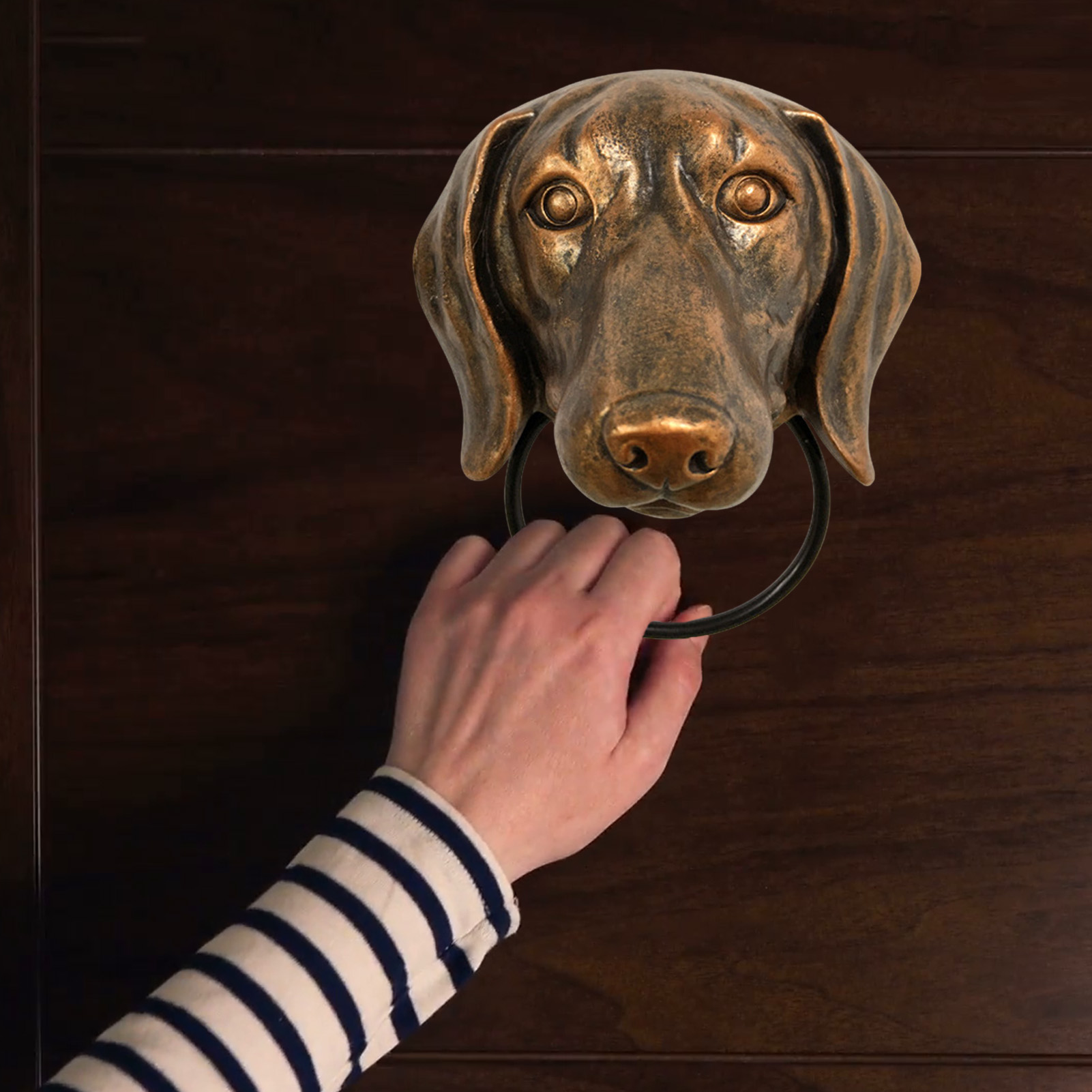 Creatieve Dieren Deurklopper R - Art Craft Door recensie en prijs